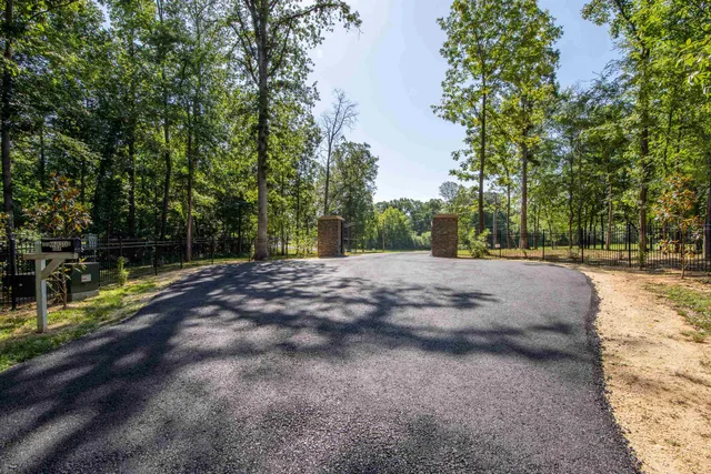 a view of a garden with large trees