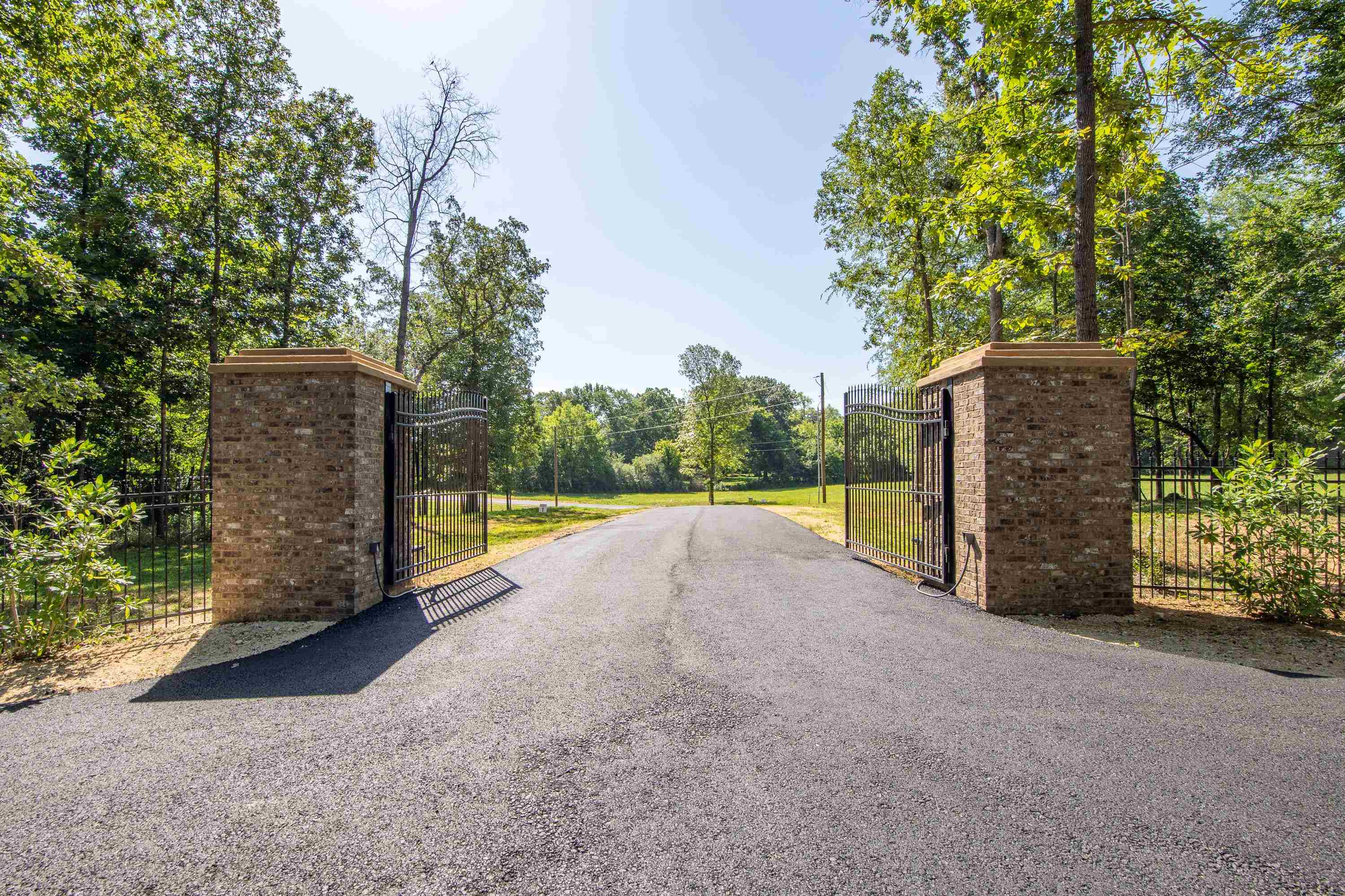 0 Grove Lane Savannah, TN 38372 - Photo 28 of 37 a view of a garden with large trees
