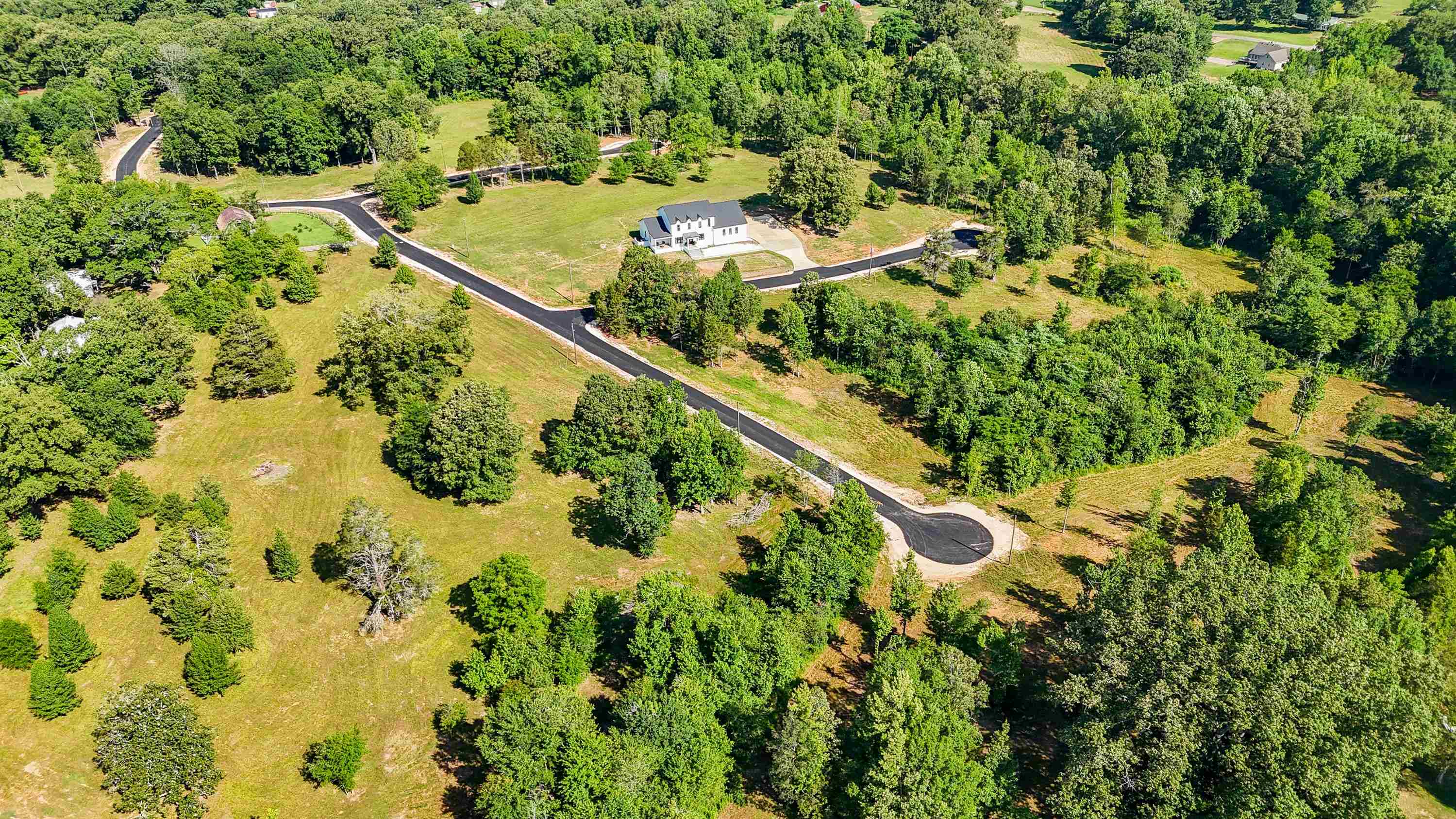 0 Grove Lane Savannah, TN 38372 - Photo 30 of 37 a view of a tree with a yard