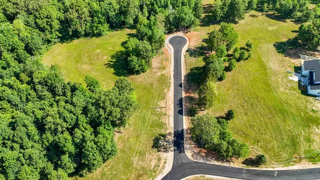 a view of a garden with plants