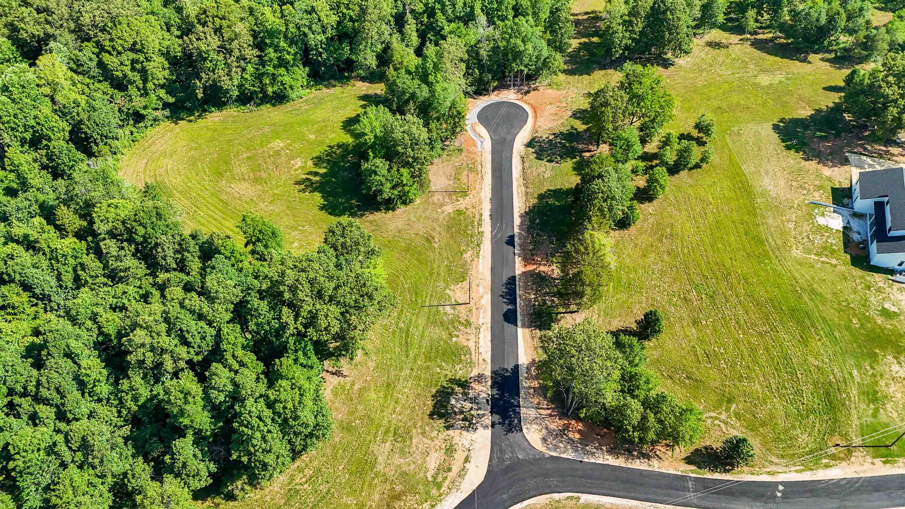 0 Grove Lane Savannah, TN 38372 - Photo 4 of 37 a view of a garden with plants
