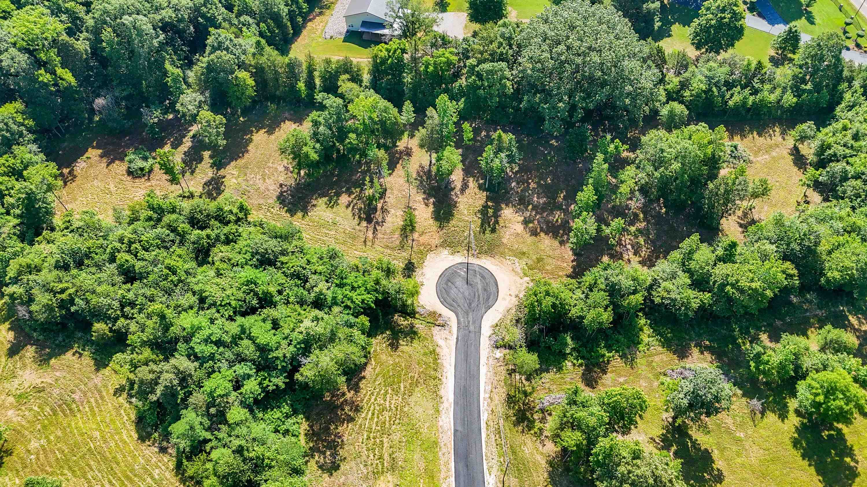 0 Grove Lane Savannah, TN 38372 - Photo 5 of 37 a view of a garden with plants