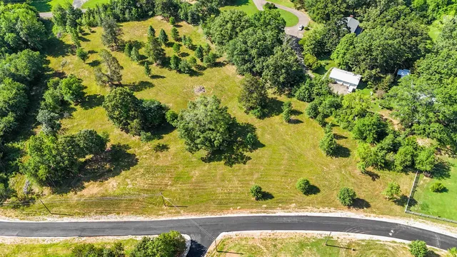 a view of a yard with plants