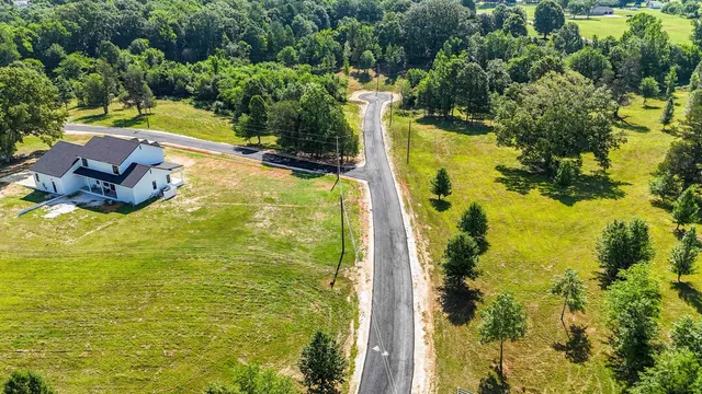 a view of a yard with two chairs