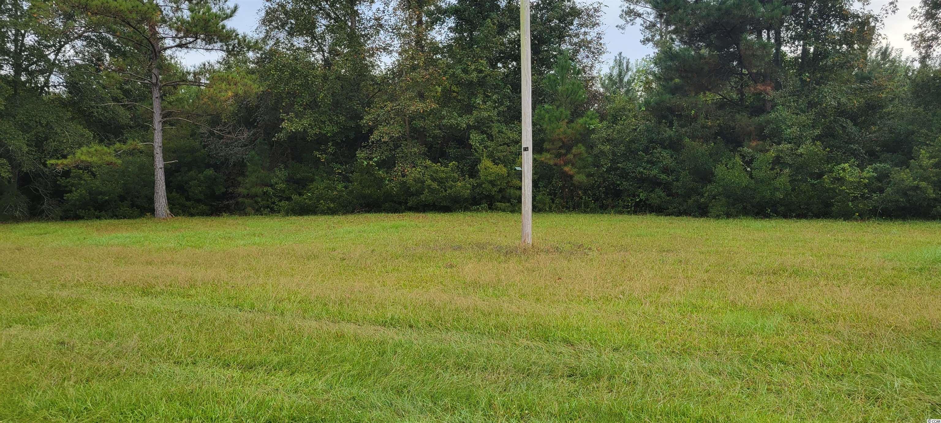 976 County Rd S-22-45 Hemingway, SC 29554 - Photo 10 of 13