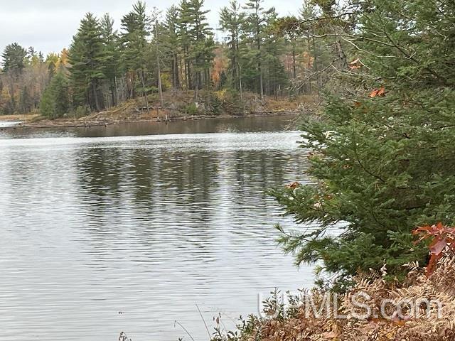 24380 Co Road Ishpeming, MI 49849 - Photo 63 of 92