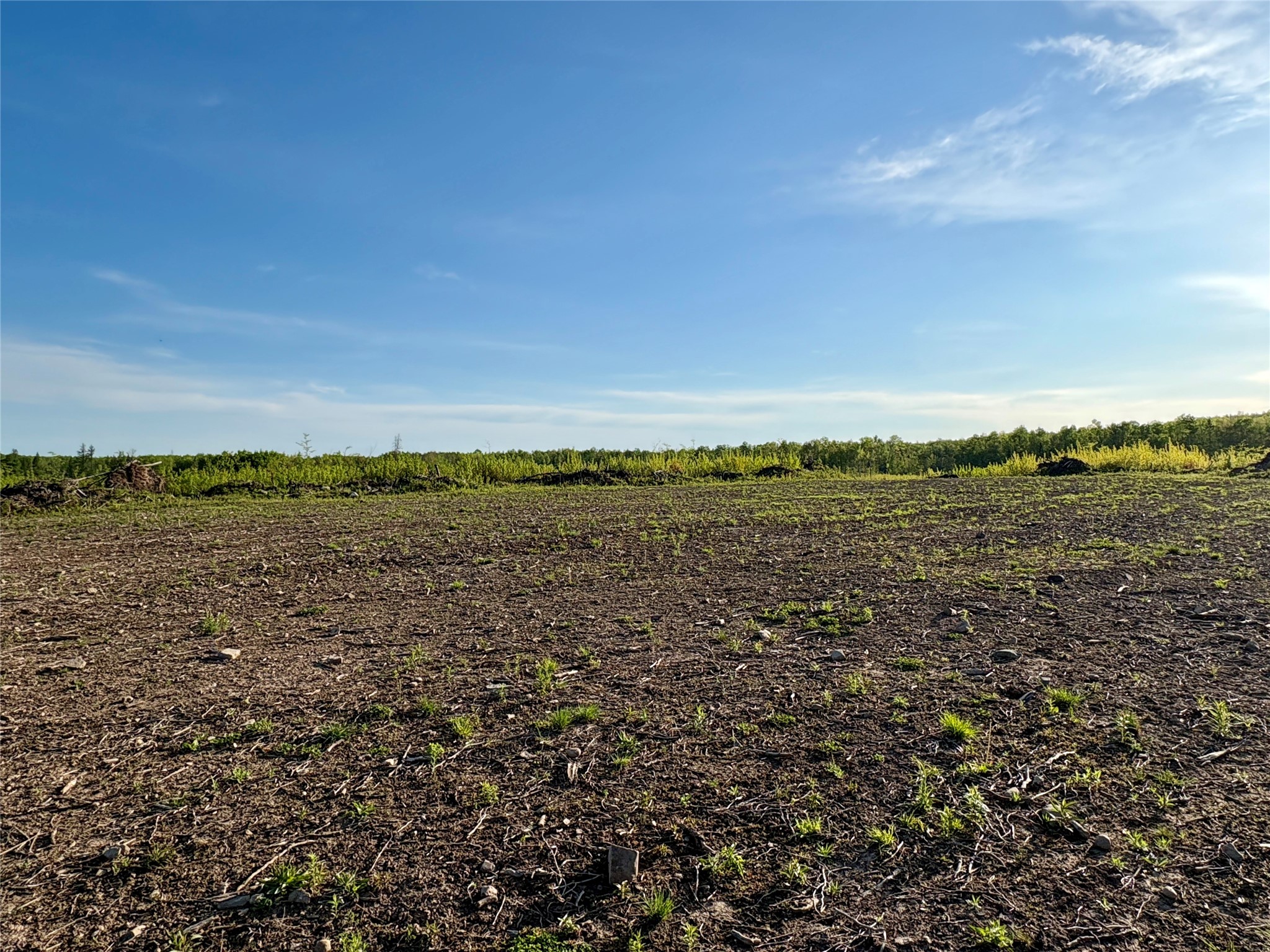 Lot 2 Girod Road Ladysmith, WI 54848 - Photo 9 of 26