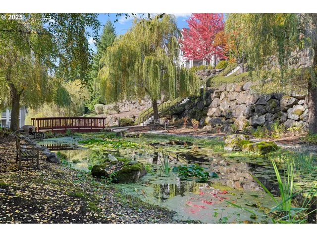 a view of a yard with a tree