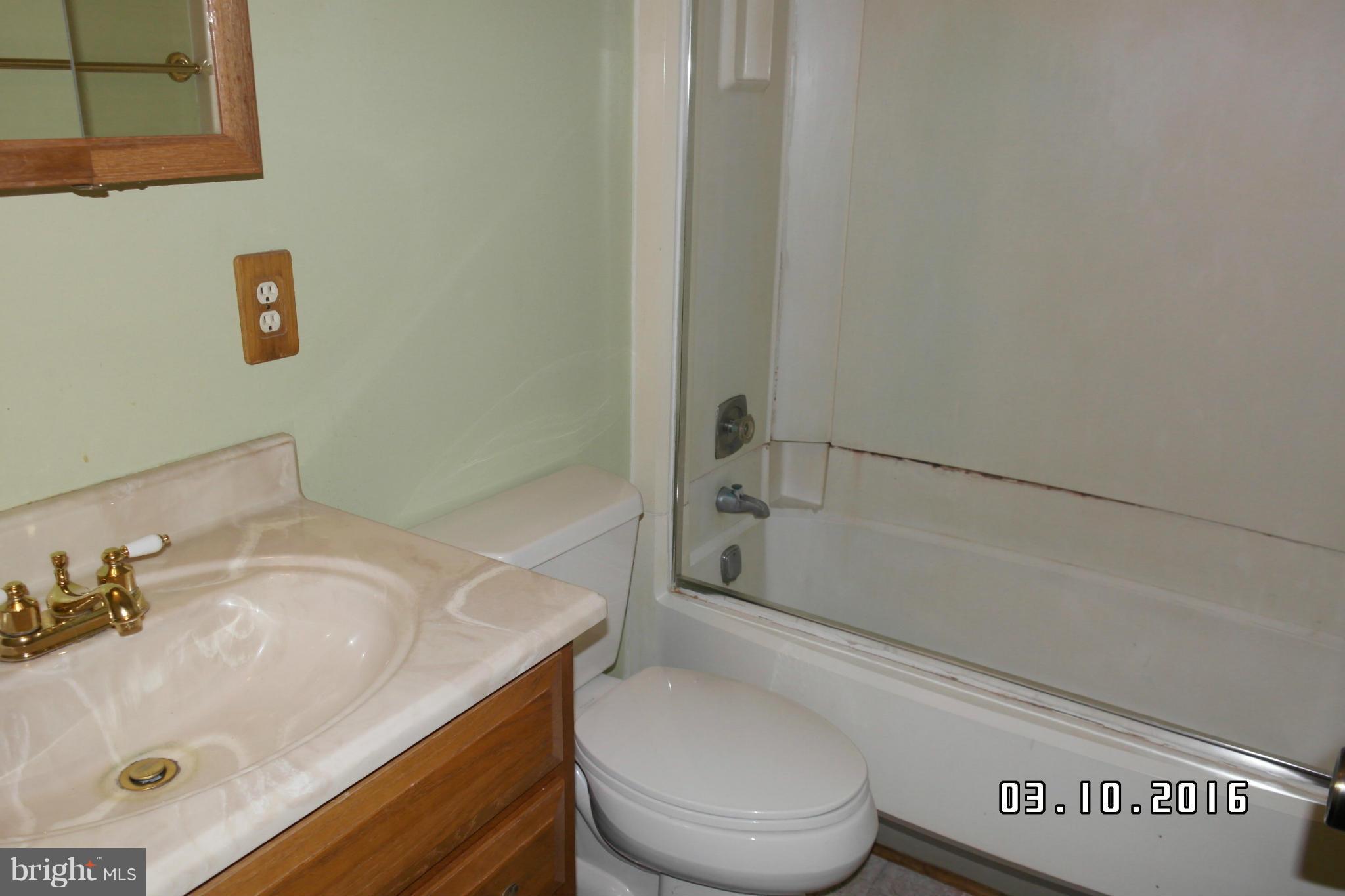 4524 Elmer Derr Road Frederick, MD 21703 - Photo 10 of 15 a bathroom with a sink and a toilet