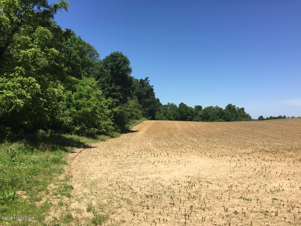 178 St Anthony Road Clarkson, KY 42726 - Photo 39 of 49 20St. Anthony100