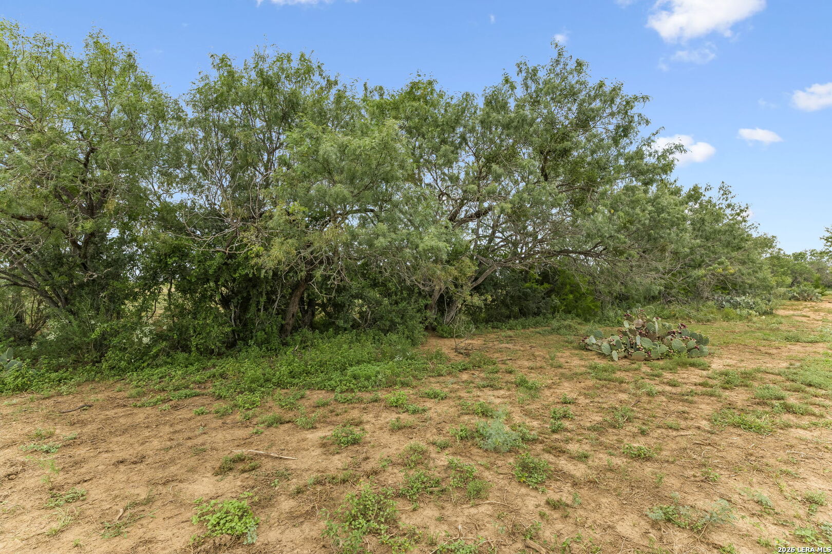 3285 Pittman Road St. Hedwig, TX 78152 - Photo 3 of 36 Gallery Image 3