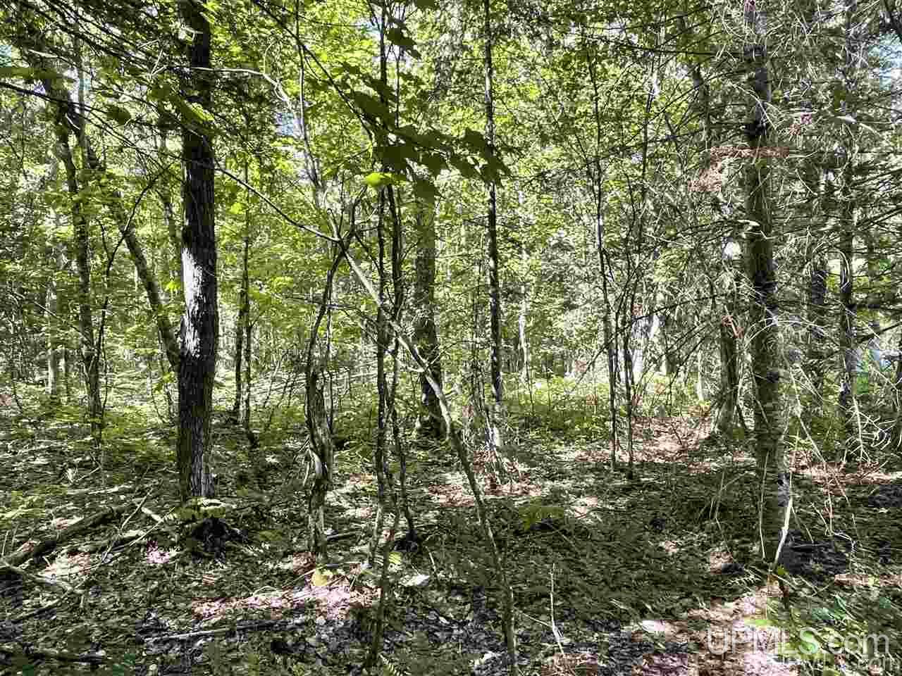 14822 North Sunken Lake Road Seney, MI 49883 - Photo 36 of 41