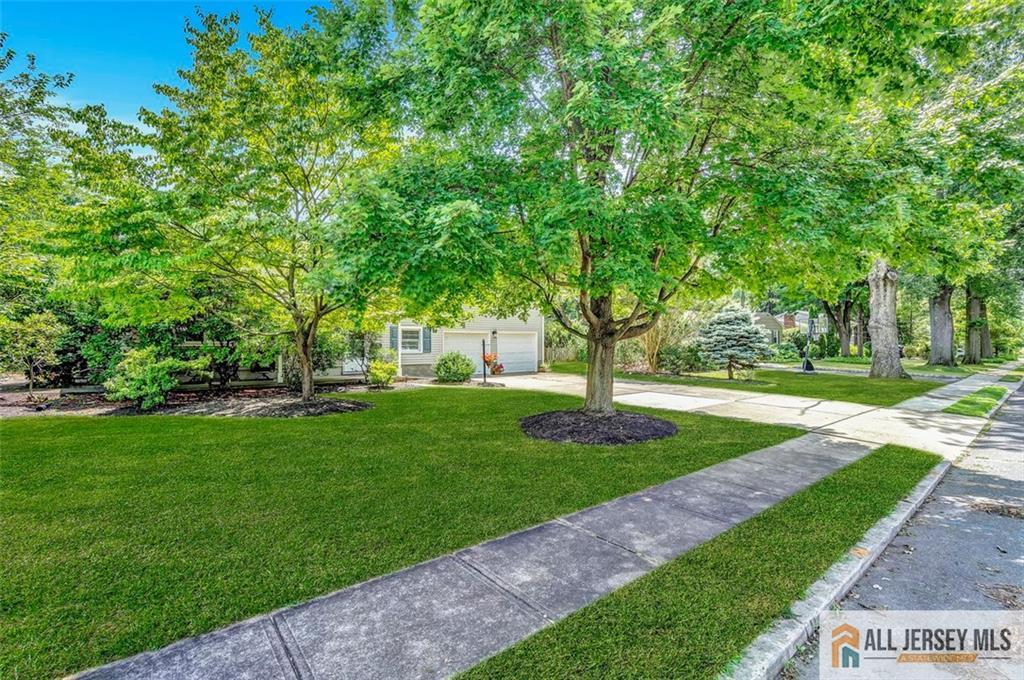 20 Ryan Road Cranbury, NJ 08512 - Photo 4 of 34 Gallery Image 4