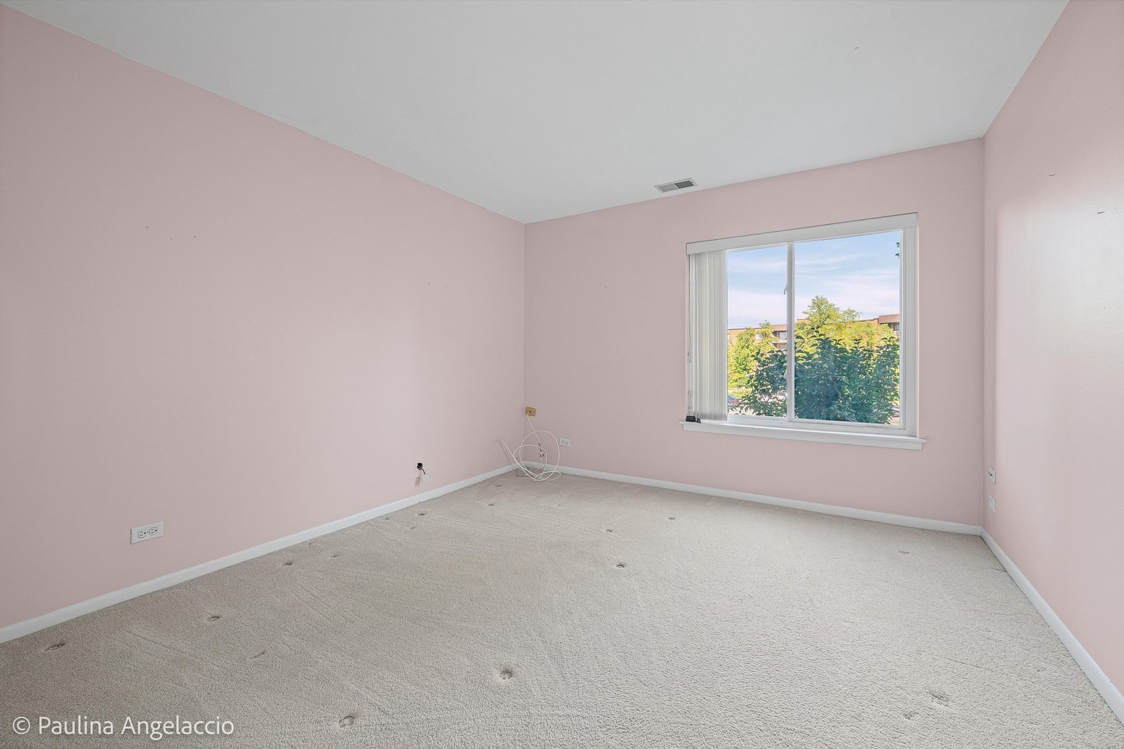 900 East Wilmette Road, Unit 219 Palatine, IL 60074 - Photo 11 of 16