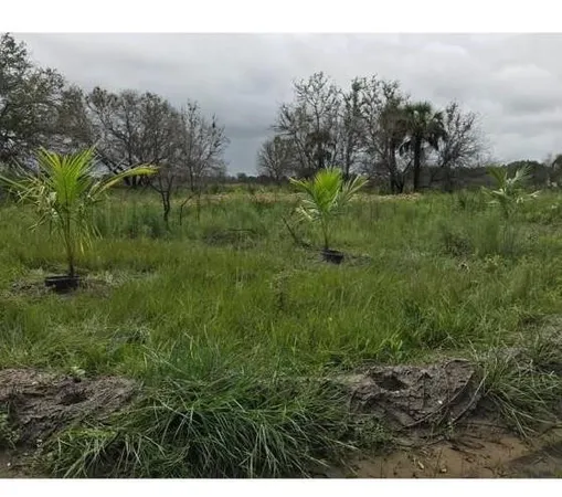 $50,000 | 16120 Northwest 300th Street, Okeechobee, FL 34972