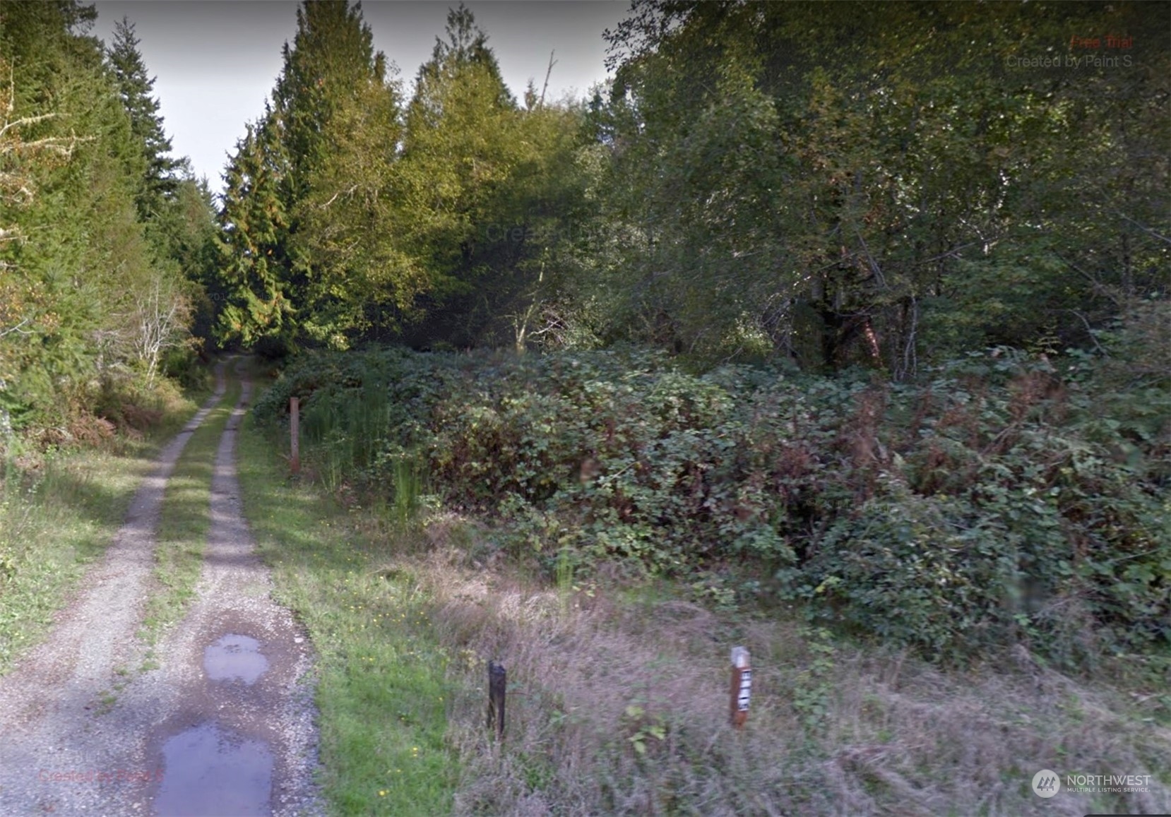 -xx Whiteman Road Southwest Longbranch, WA 98351 - Photo 6 of 6 a backyard of a house with lots of green space