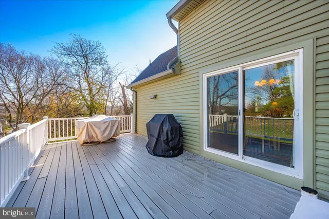a view of a backyard with large trees