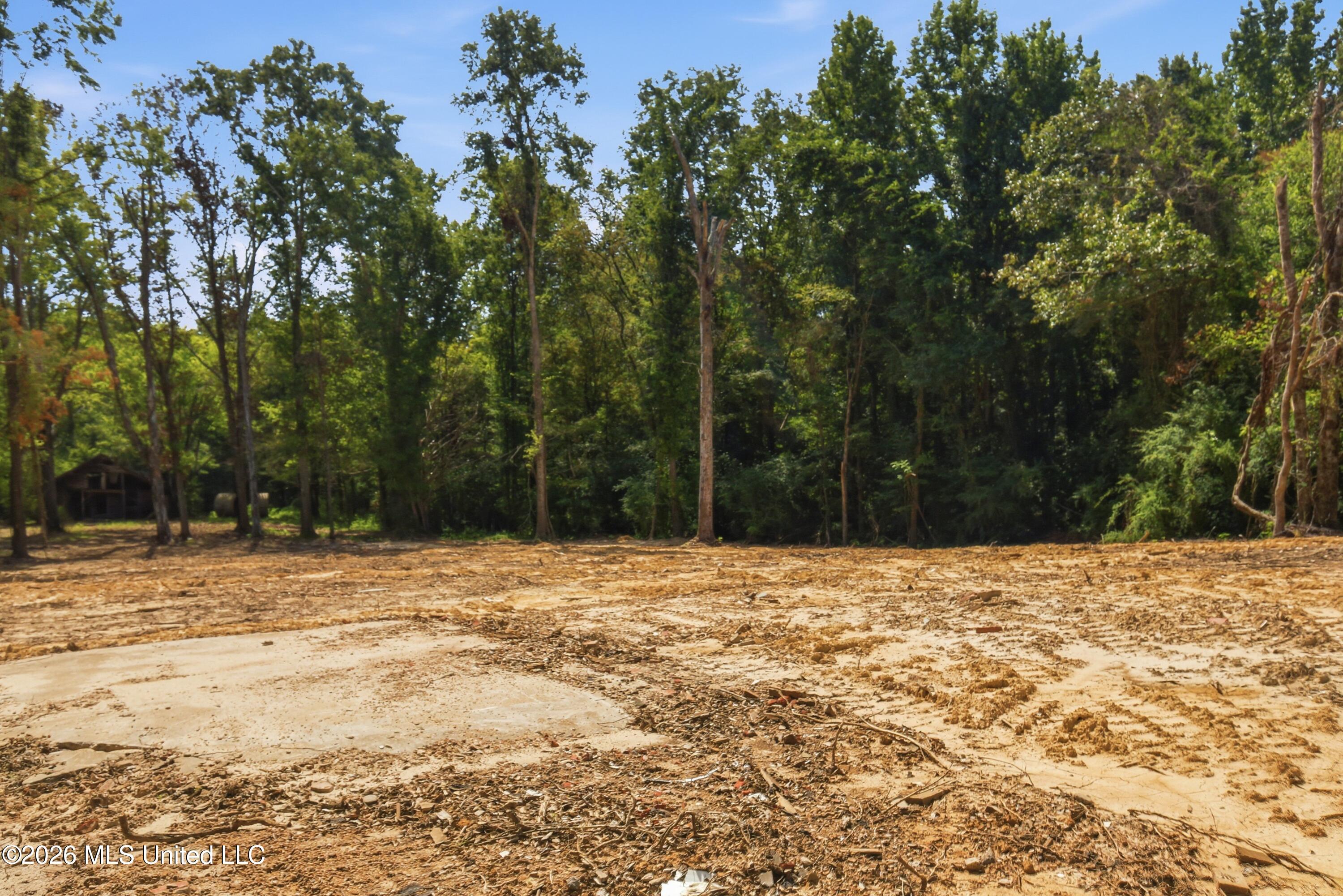 478 Potluck Road Canton, MS 39046 - Photo 5 of 35 04-478 Potluck Rd _ Hometoursms.com