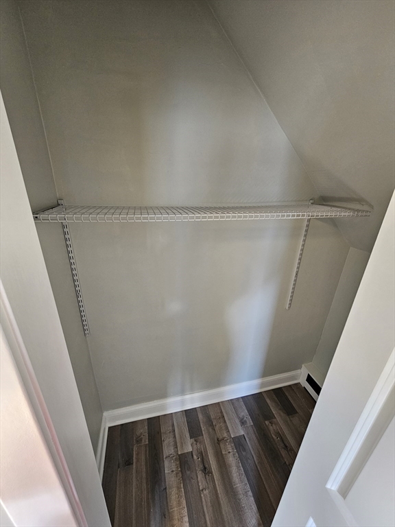 46 Dennis Street, Unit 3 Boston, MA 02119 - Photo 14 of 22 a view of an empty walk in closet