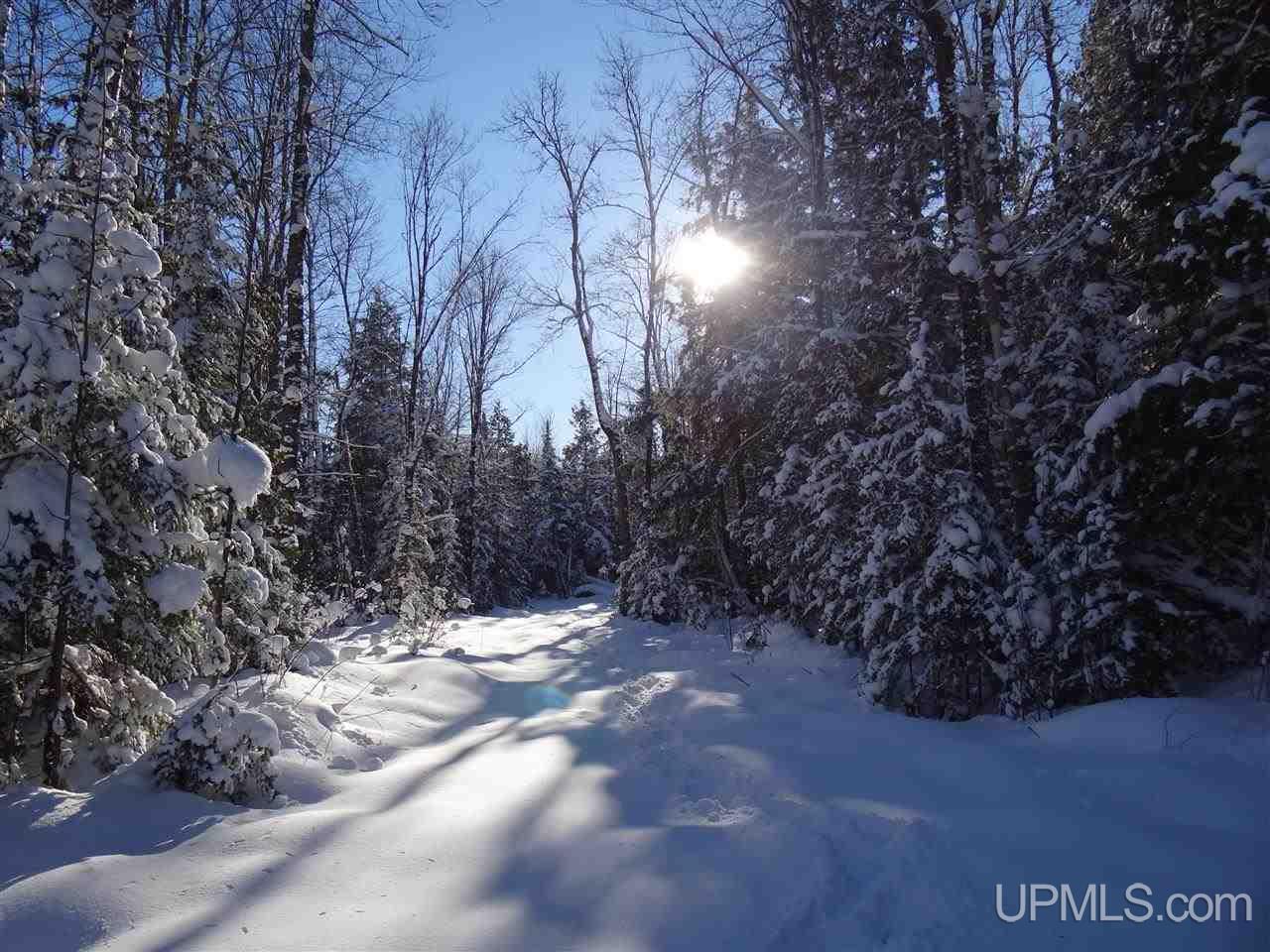 Tbd Irwin Road Baraga, MI 49908 - Photo 4 of 27