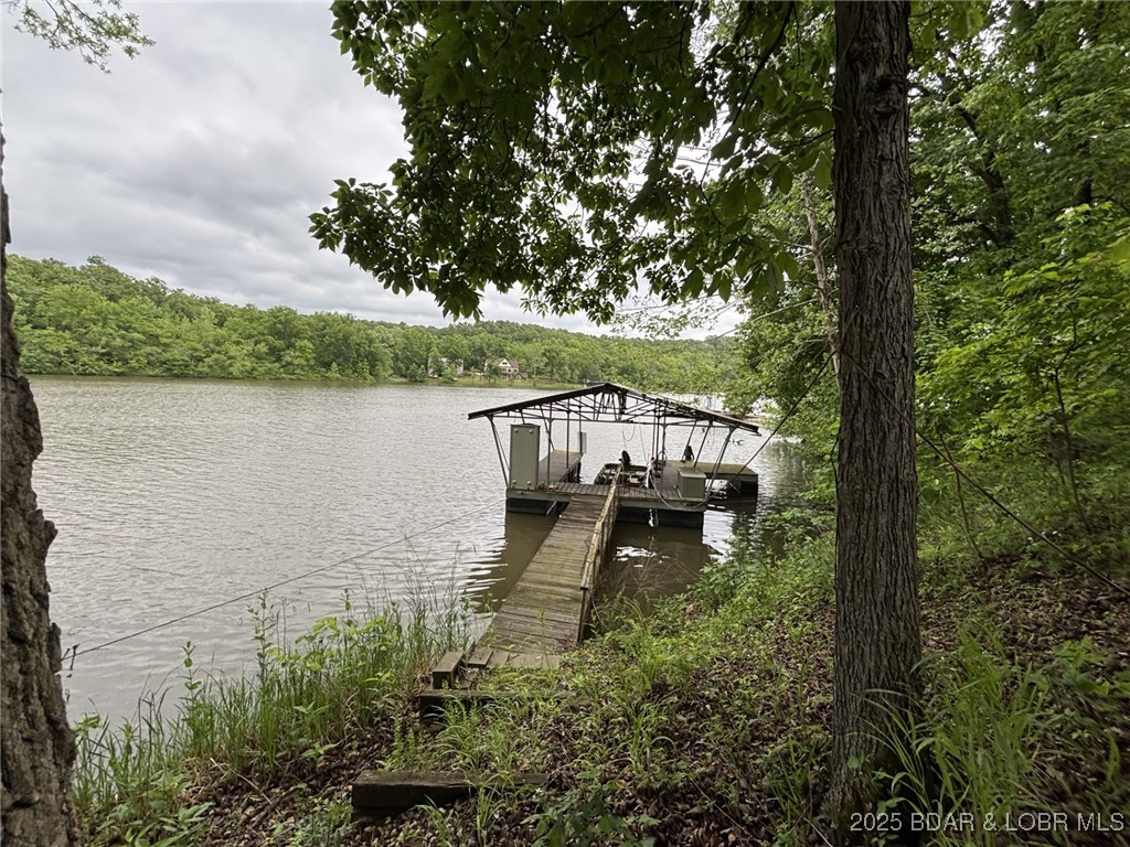 1265 Lick Creek Road Edwards, MO 65326 - Photo 25 of 27 walk way to dock