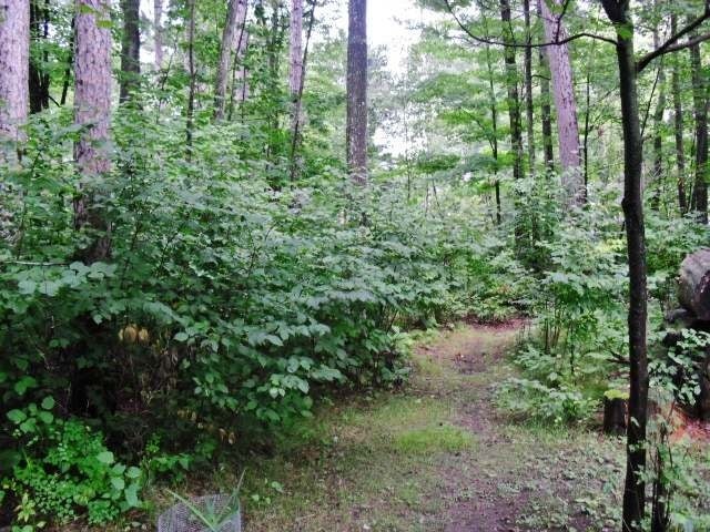 11882 North Deer Lake Road Tomahawk, WI 54487 - Photo 16 of 19 Gallery Image 16