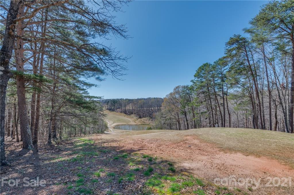 183 Alden Court Rutherfordton, NC 28139 - Photo 45 of 47 a view of a yard with large trees