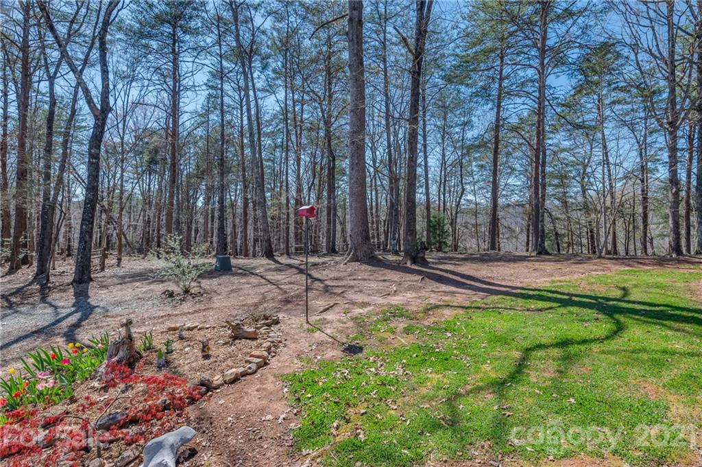 183 Alden Court Rutherfordton, NC 28139 - Photo 6 of 47 a view of outdoor space with trees