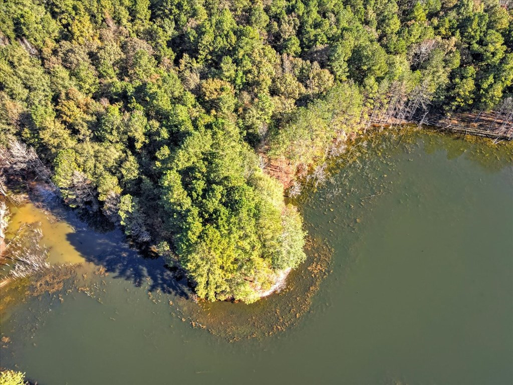 0 Broomstraw Road Johnston, SC 29832 - Photo 12 of 22