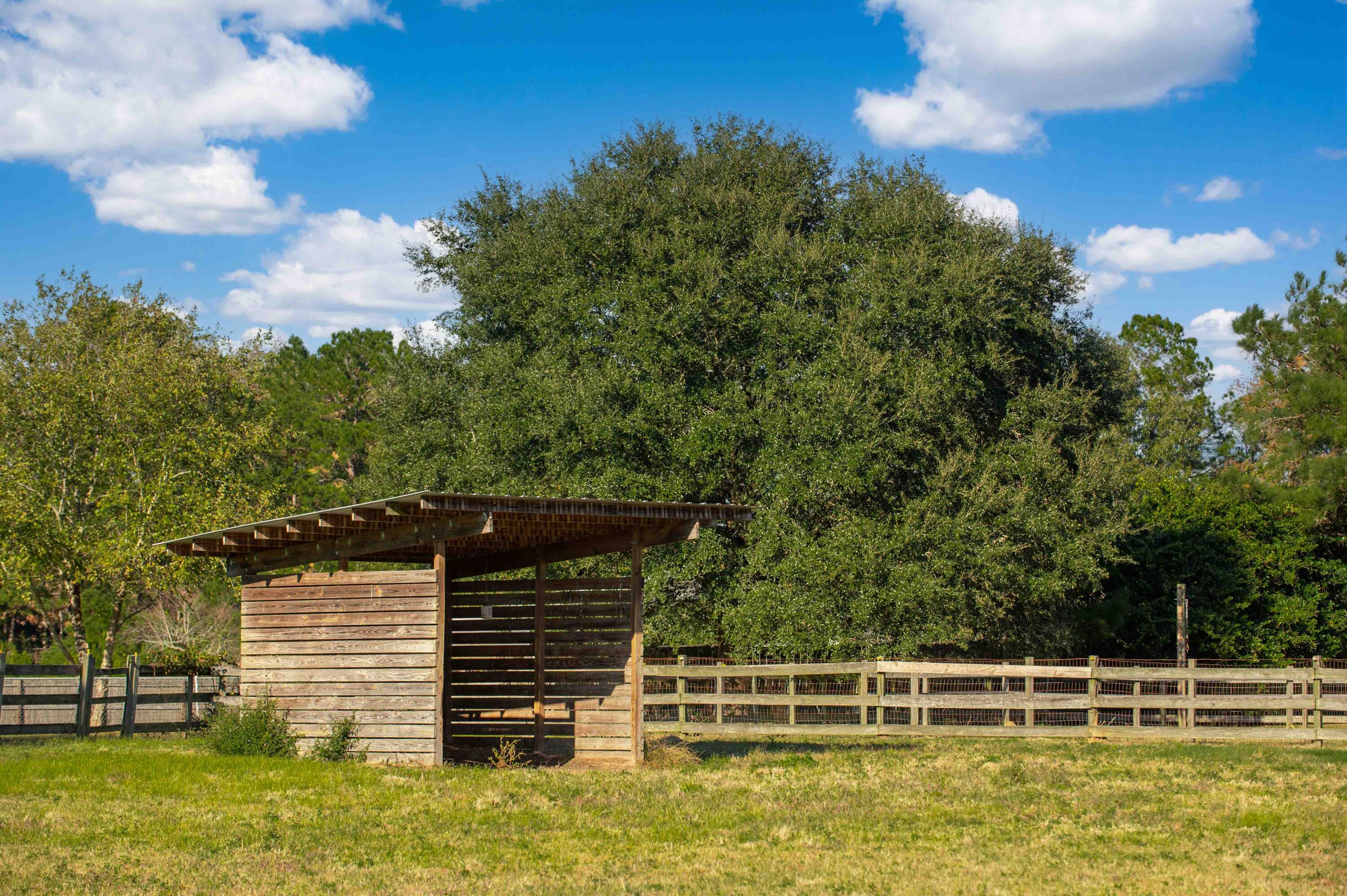 1156 State Rd S-8-376 Moncks Corner, SC 29461 - Photo 35 of 59 1156 Old Cherry Hill Rd-2