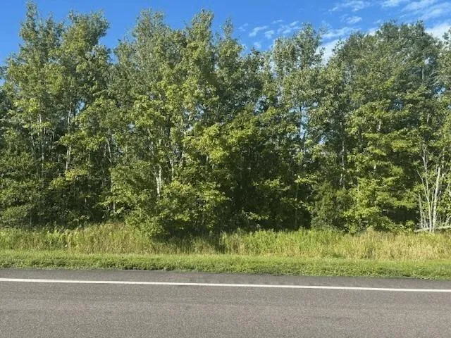 a small yard with lots of green space