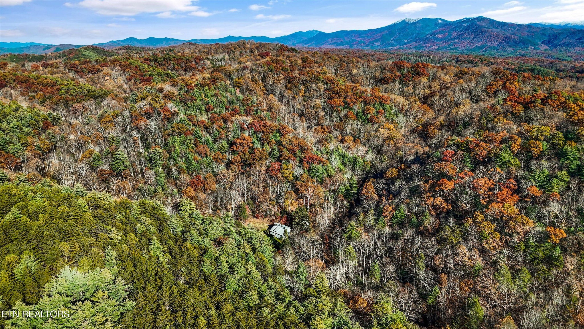 320 Caney Branch Road Tellico Plains, TN 37385 - Photo 34 of 37 Gallery Image 34