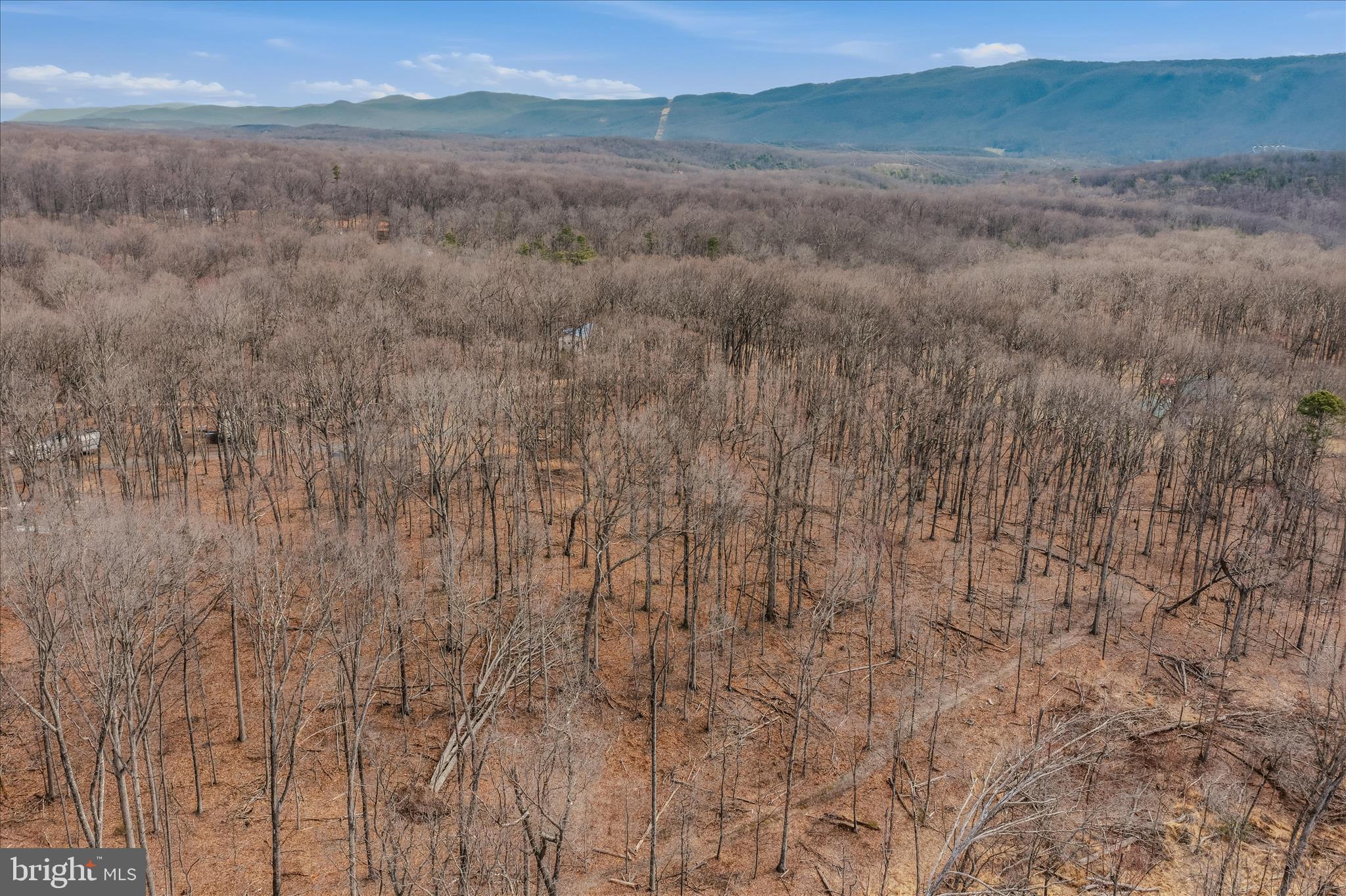 6 Pauls Woods Road Delray, WV 26714 - Photo 14 of 28