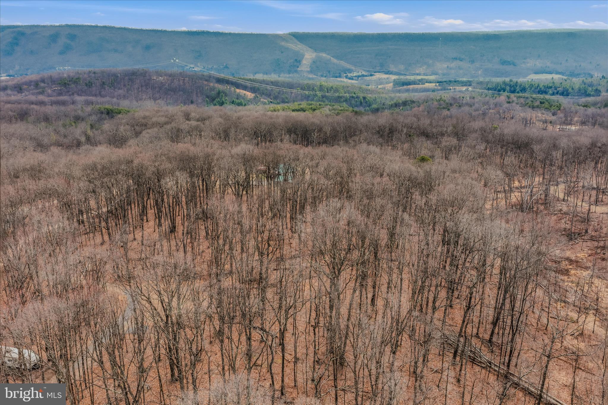 6 Pauls Woods Road Delray, WV 26714 - Photo 15 of 28