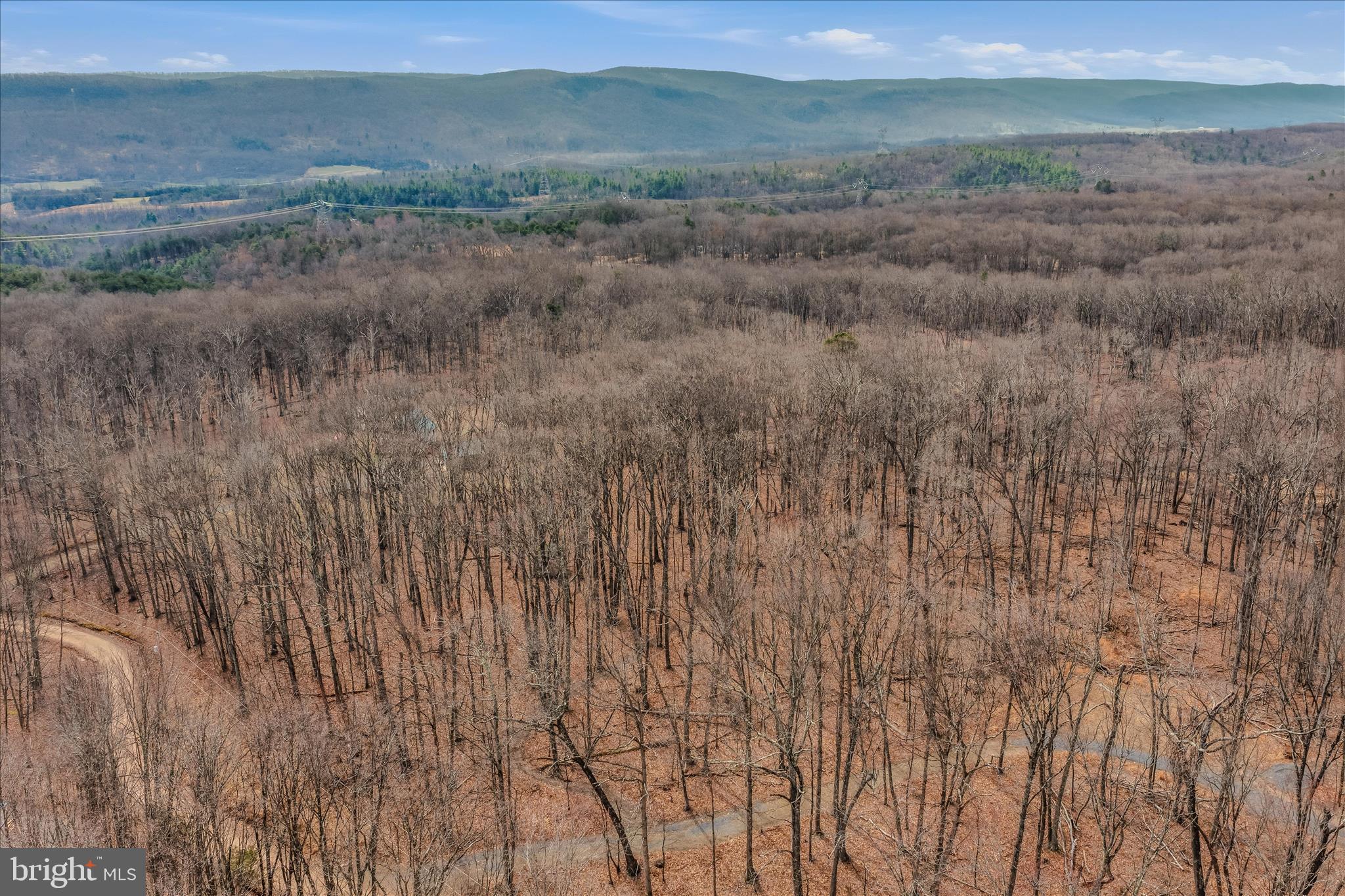 6 Pauls Woods Road Delray, WV 26714 - Photo 16 of 28