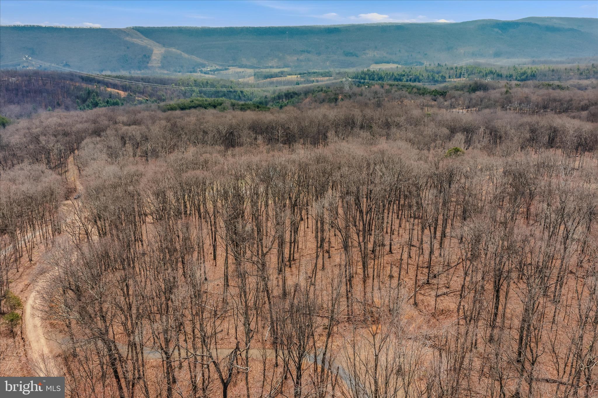 6 Pauls Woods Road Delray, WV 26714 - Photo 17 of 28