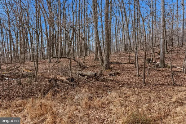 $25,000 | 6 Pauls Woods Road, Delray, WV 26714