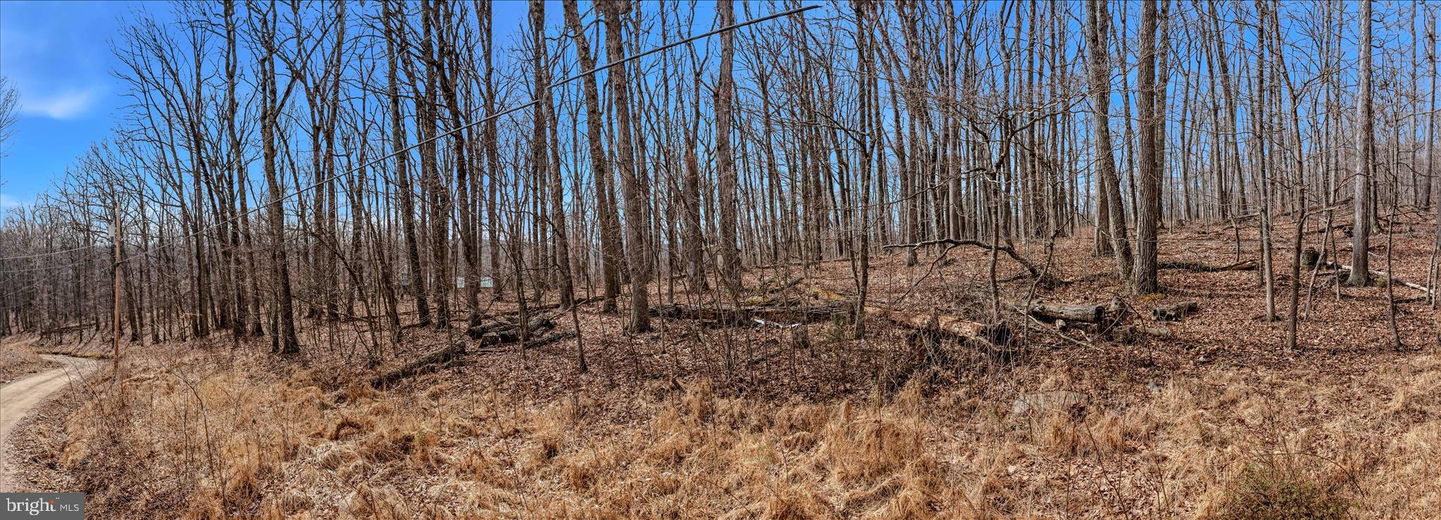 6 Pauls Woods Road Delray, WV 26714 - Photo 19 of 28