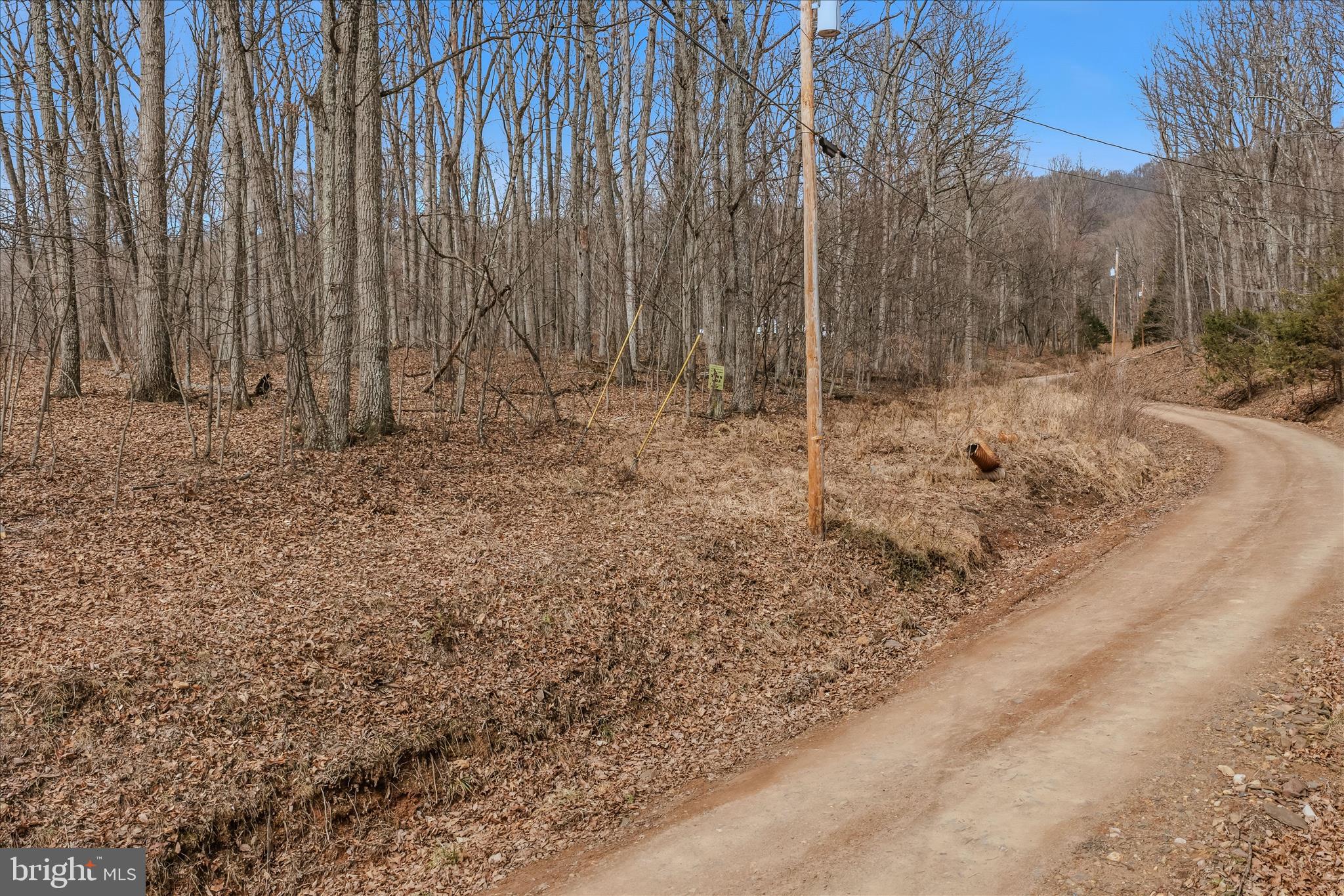 6 Pauls Woods Road Delray, WV 26714 - Photo 20 of 28