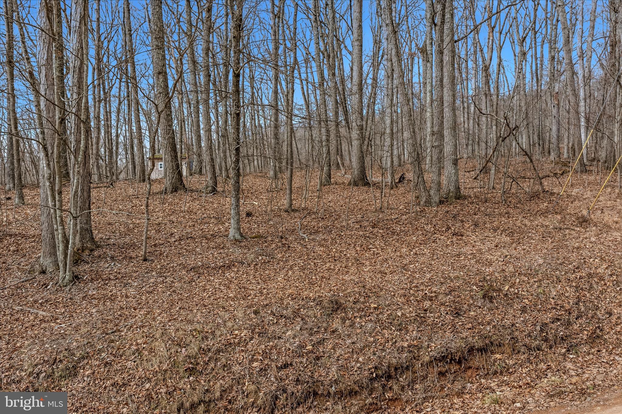 6 Pauls Woods Road Delray, WV 26714 - Photo 21 of 28