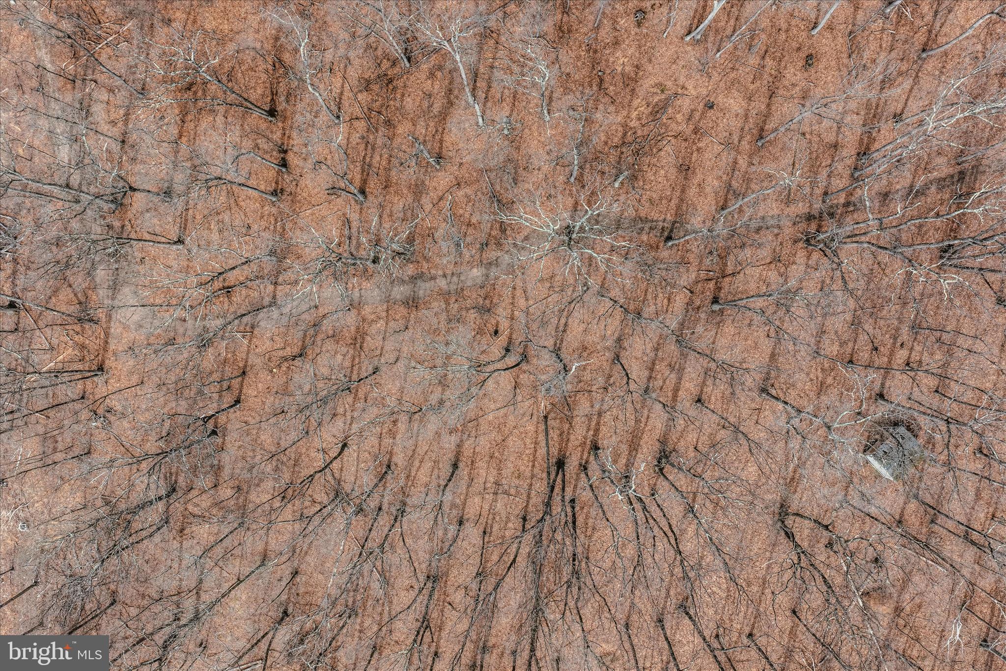 6 Pauls Woods Road Delray, WV 26714 - Photo 23 of 28