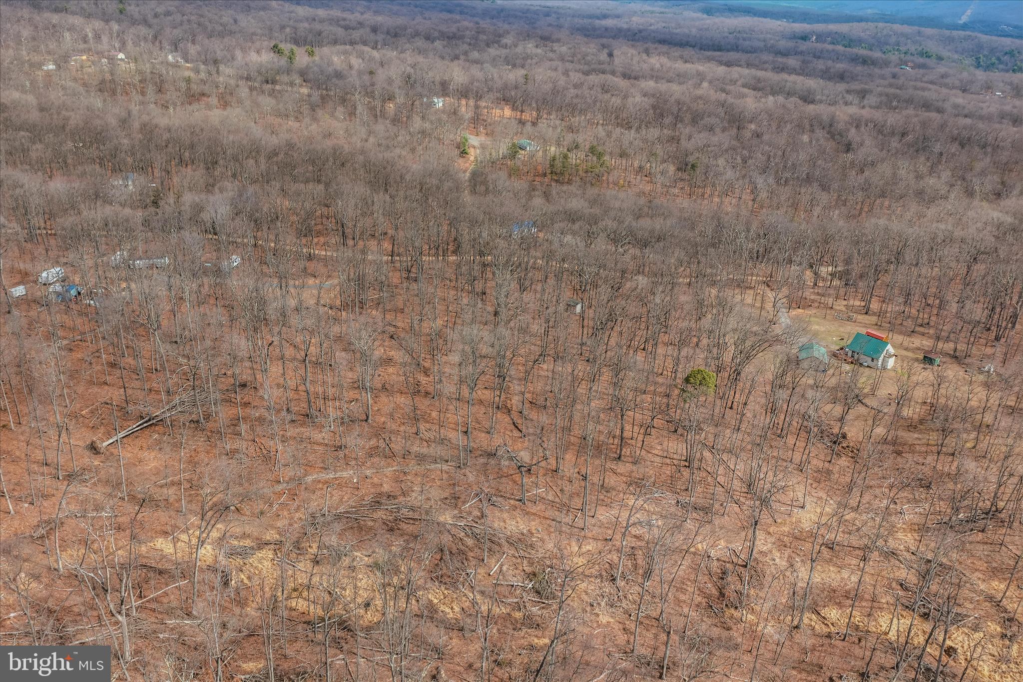 6 Pauls Woods Road Delray, WV 26714 - Photo 24 of 28