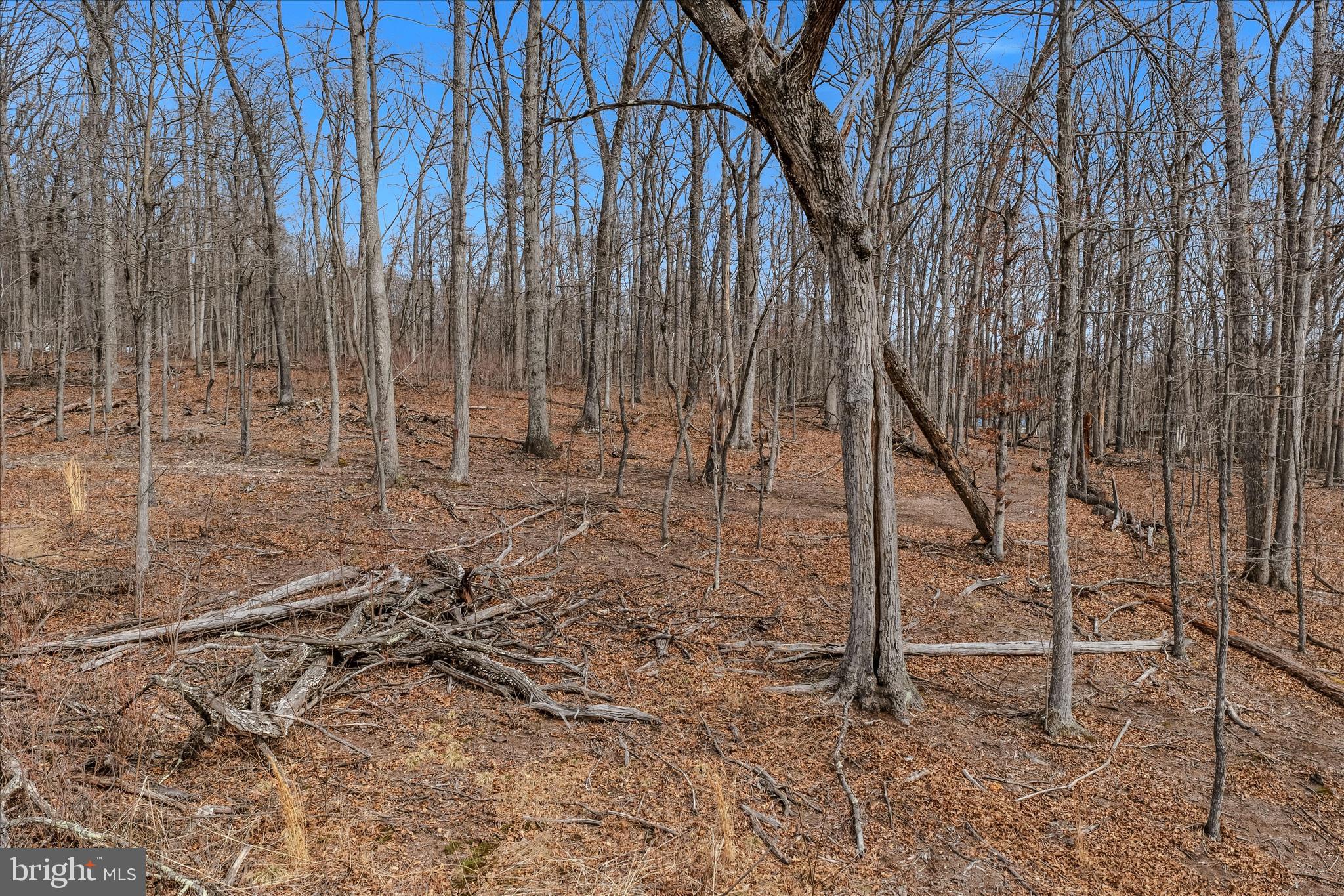 6 Pauls Woods Road Delray, WV 26714 - Photo 25 of 28