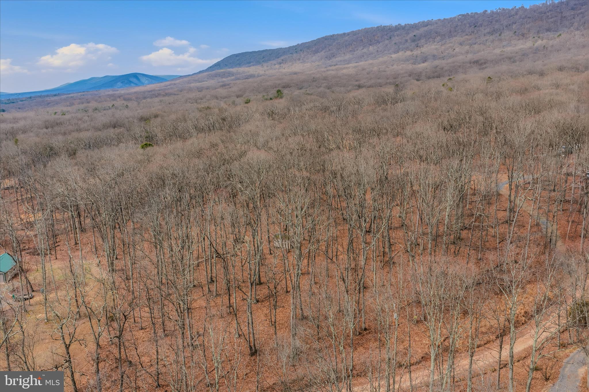 6 Pauls Woods Road Delray, WV 26714 - Photo 28 of 28