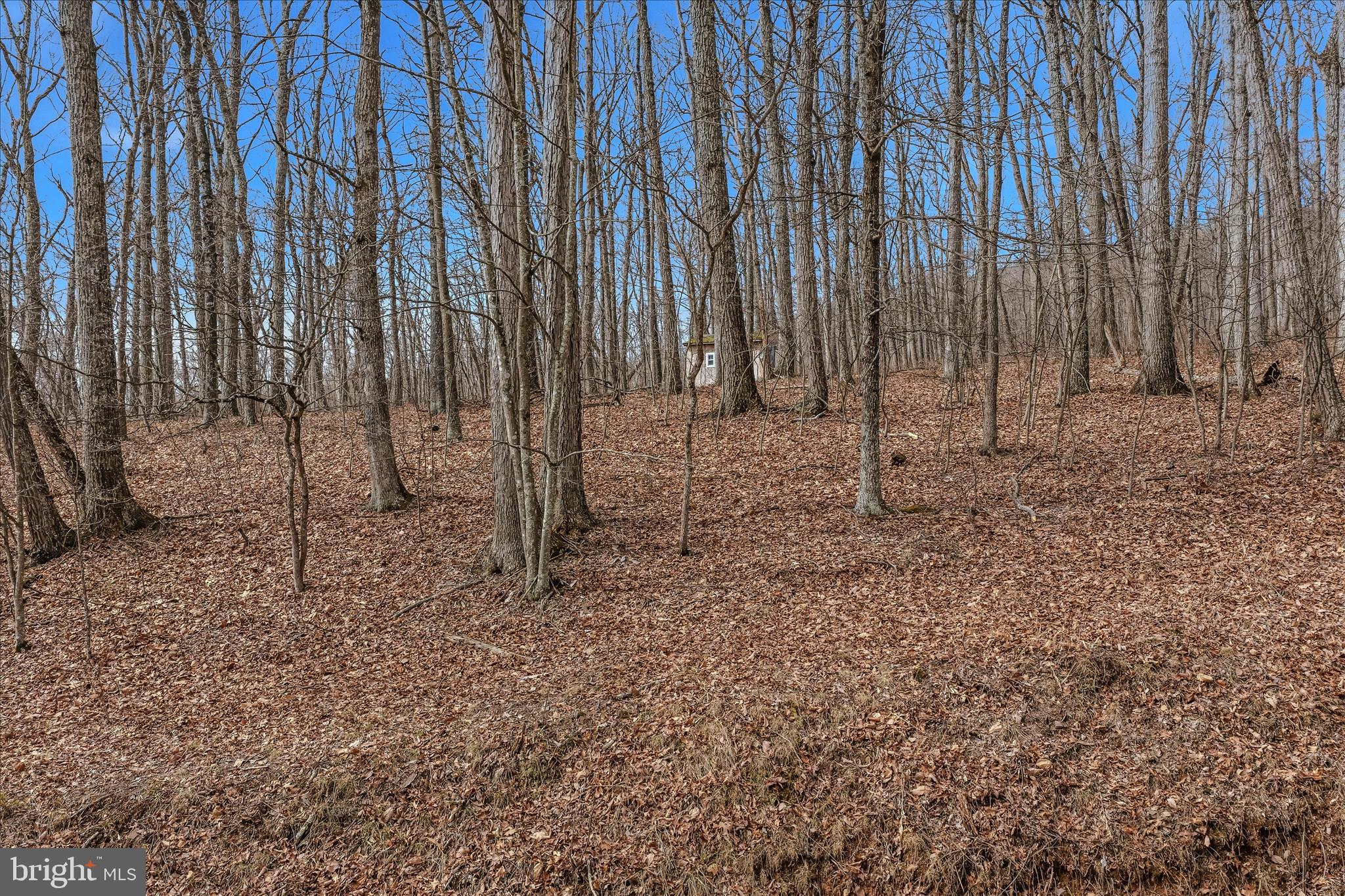 6 Pauls Woods Road Delray, WV 26714 - Photo 4 of 28