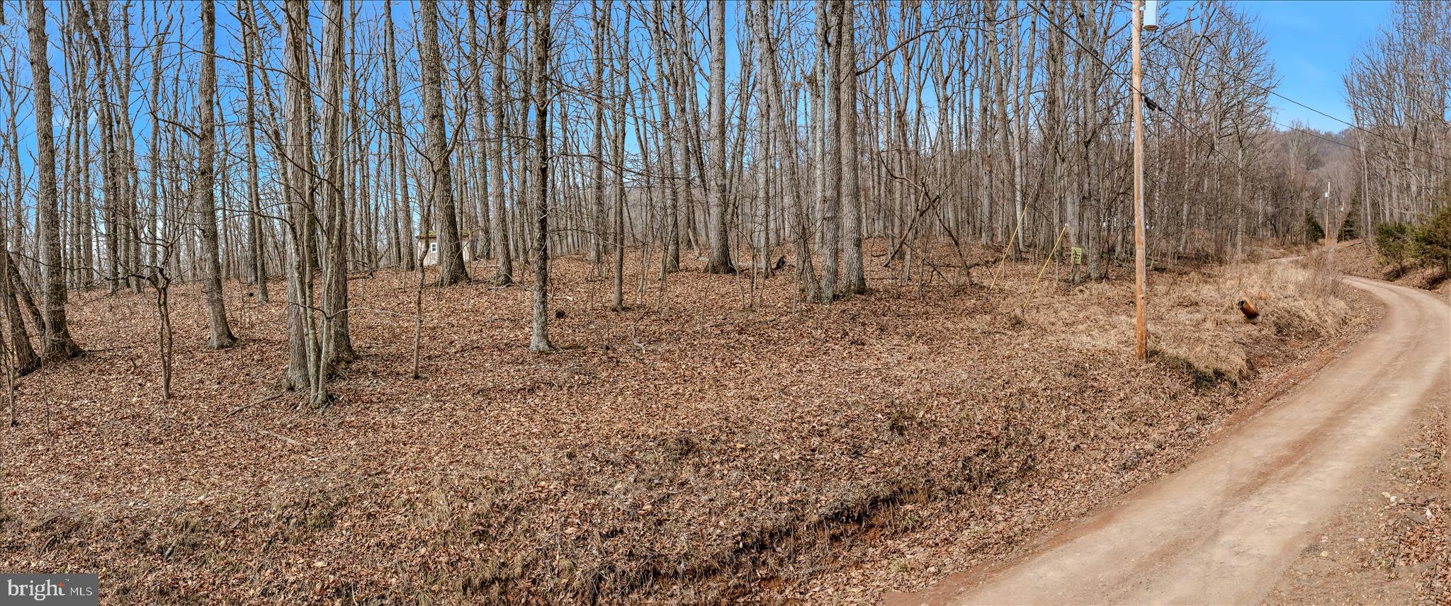 6 Pauls Woods Road Delray, WV 26714 - Photo 5 of 28