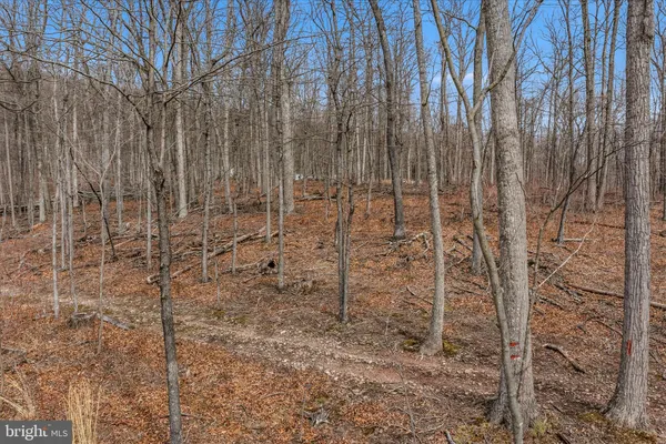 $25,000 | 6 Pauls Woods Road, Delray, WV 26714