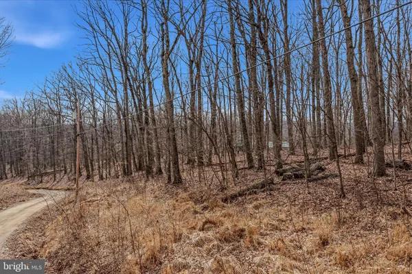 $25,000 | 6 Pauls Woods Road, Delray, WV 26714