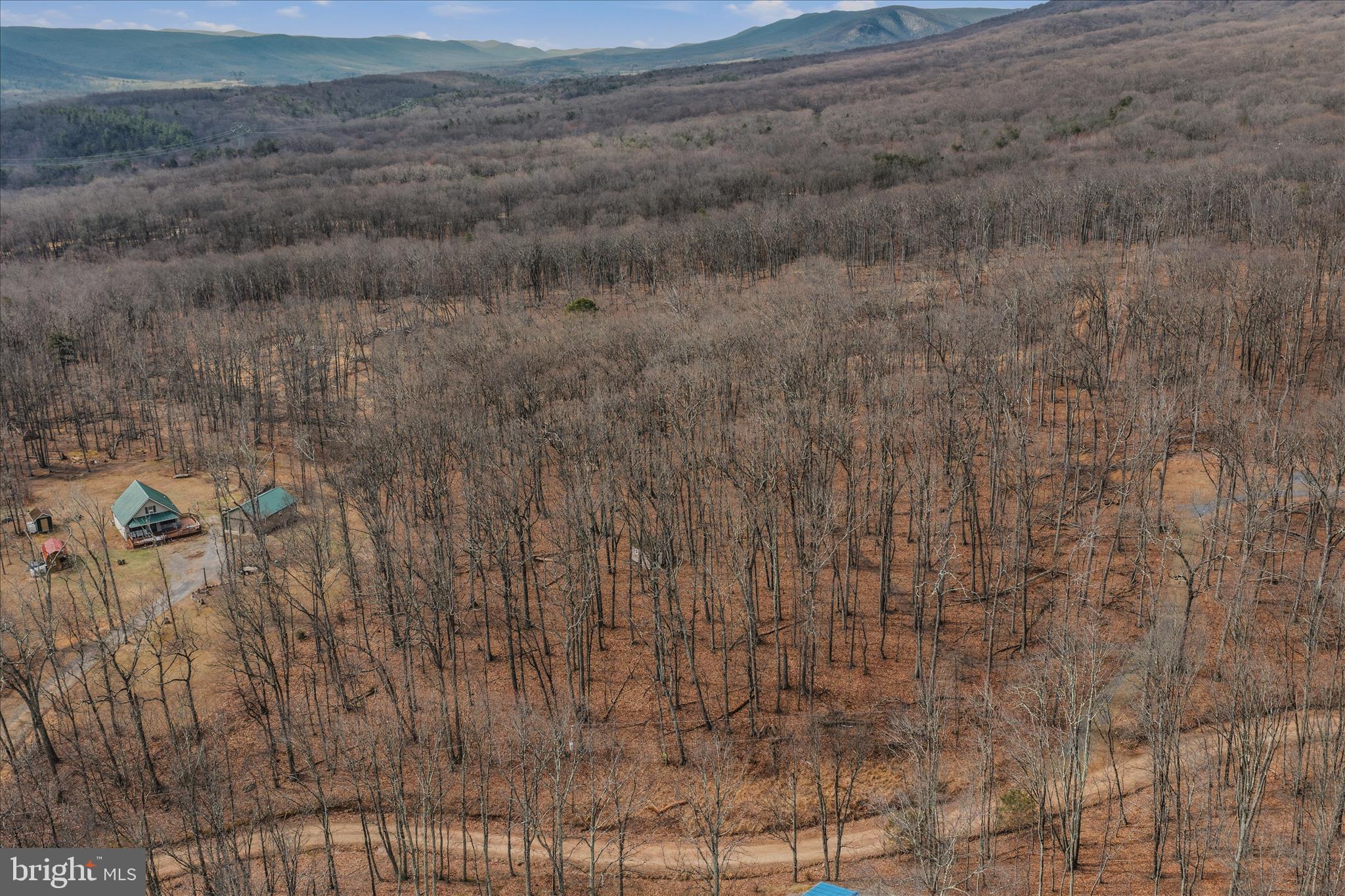 6 Pauls Woods Road Delray, WV 26714 - Photo 8 of 28