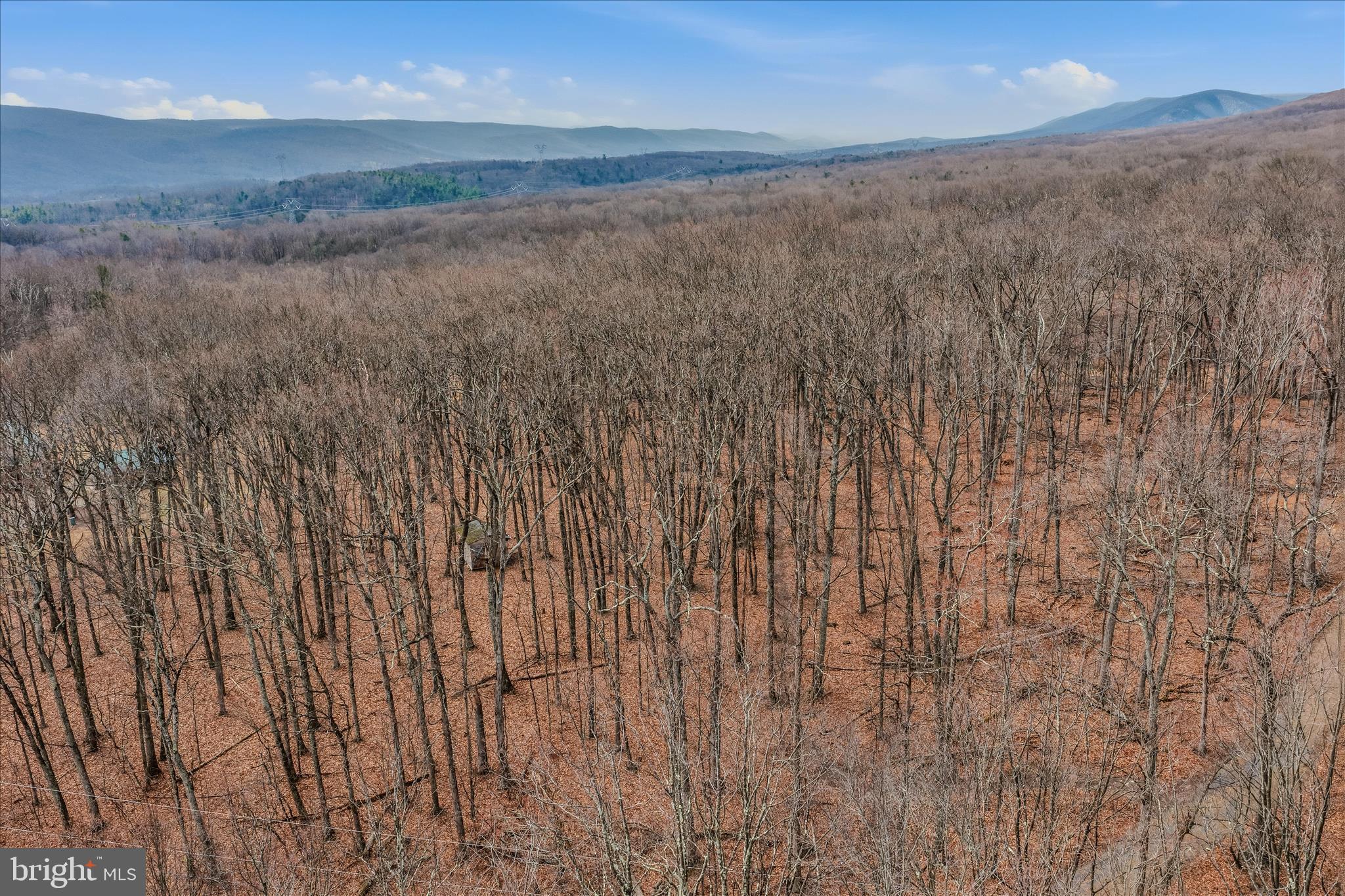 6 Pauls Woods Road Delray, WV 26714 - Photo 9 of 28